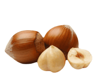 Hazelnuts